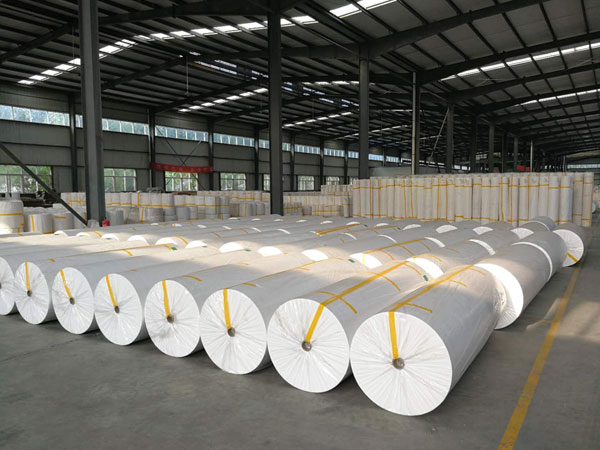 金湾狭缝式涤纶纺粘无纺布